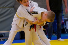 Japansedag 2024 judo 2