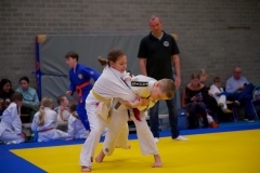 20241103-Japanse-Dag-Voorrondes2-4