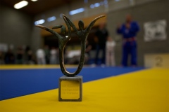 20241103-JV-Terwinselen-Japanse-Dag-21