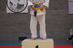 20241103-JV-Terwinselen-Japanse-Dag-22