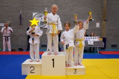 20241103-JV-Terwinselen-Japanse-Dag-27