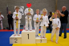 20241103-JV-Terwinselen-Japanse-Dag-30