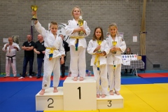 20241103-JV-Terwinselen-Japanse-Dag-33