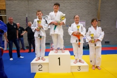 20241103-JV-Terwinselen-Japanse-Dag-36