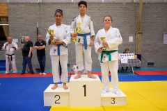20241103-JV-Terwinselen-Japanse-Dag-37