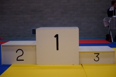 20241103-JV-Terwinselen-Japanse-Dag-9