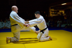 Japansedag 2025 judo demo