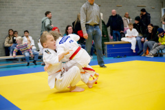 Japansedag 2025 judo en jiu jitsu wedstrijden