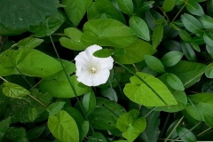 20140622_152405