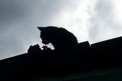 20140622_165057